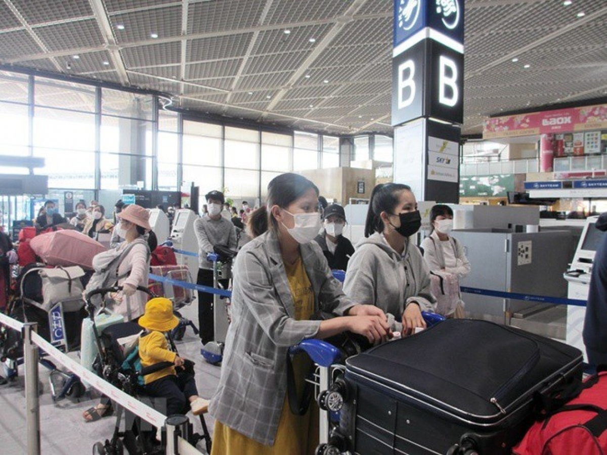 Over 220 Vietnamese citizens flown home from Japan