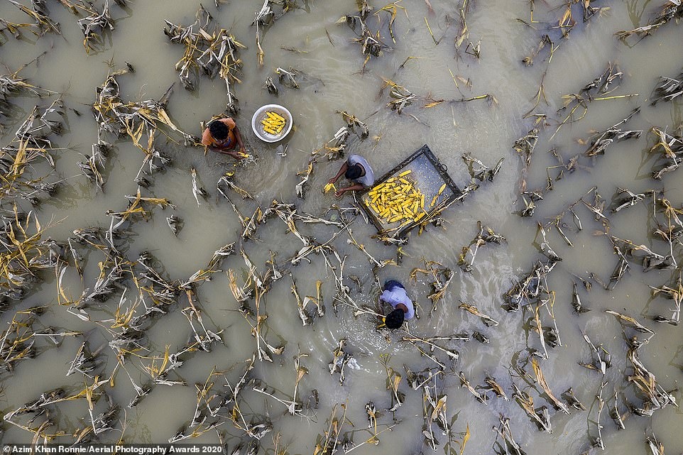 aerial photography awards 2020 honours local photographers picture 10