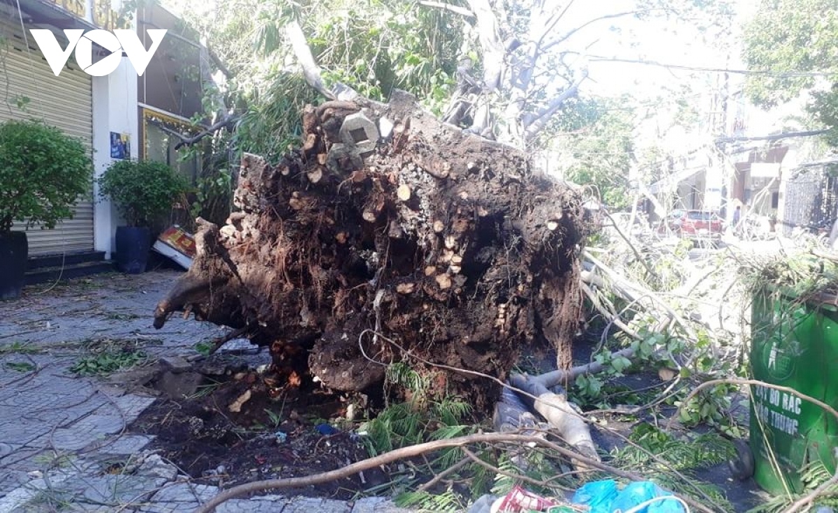 Da Nang strives to overcome negative impact of typhoon Molave
