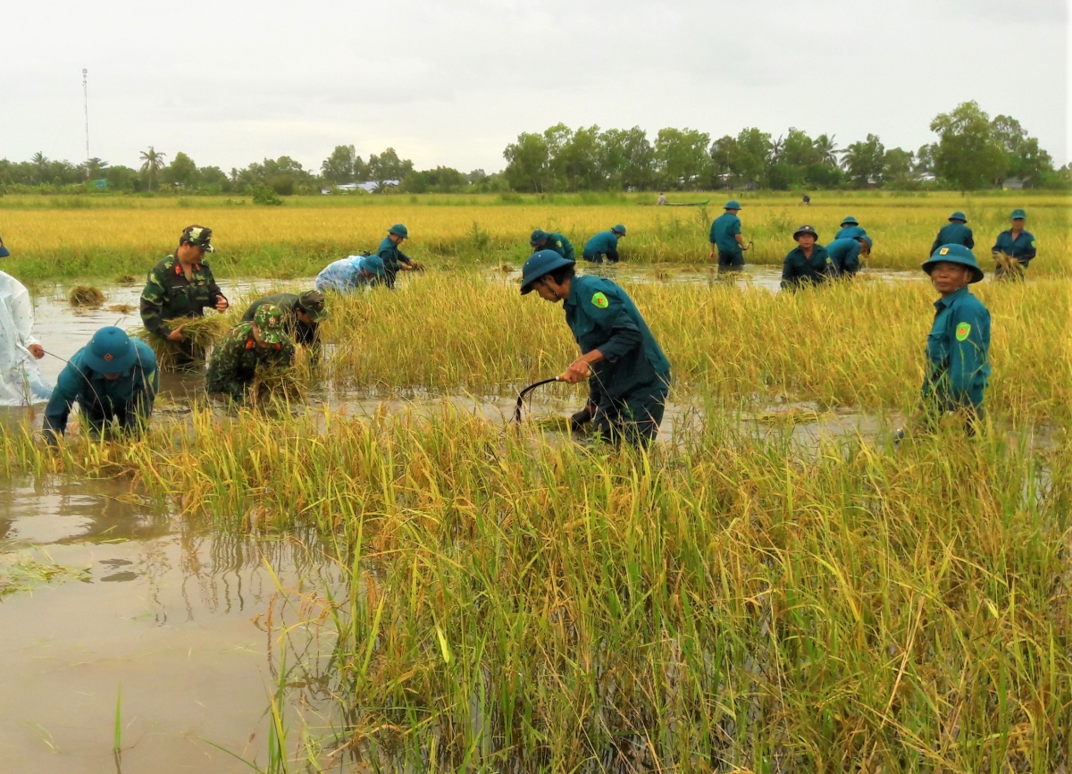 Ngập lụt ở Cà Mau: “Ở đâu dân gặp khó, ở đó có bộ đội”