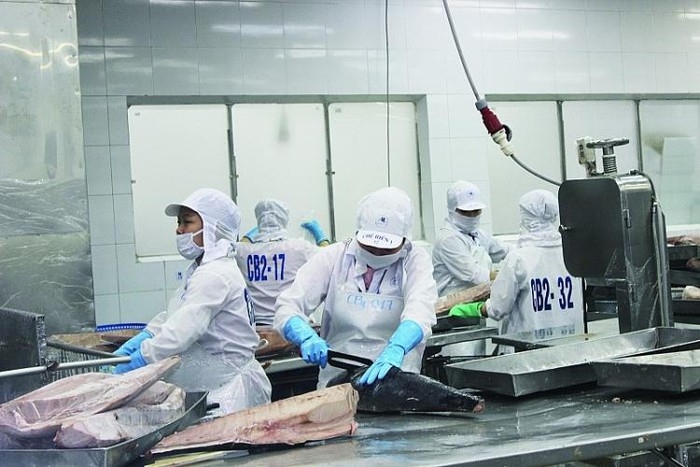 tuna exports poised to surge ahead in remaining months of 2020 picture 1
