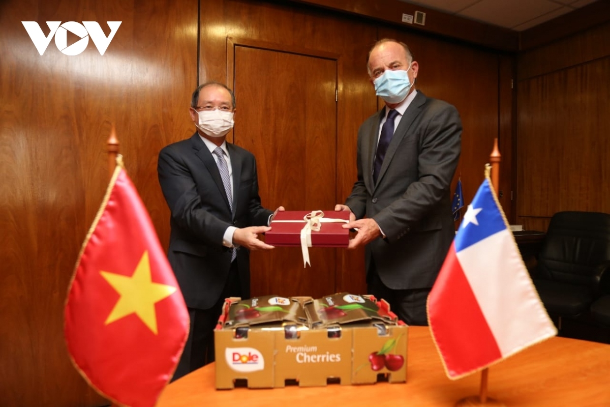 chile opens its market to vietnamese grapefruit picture 1