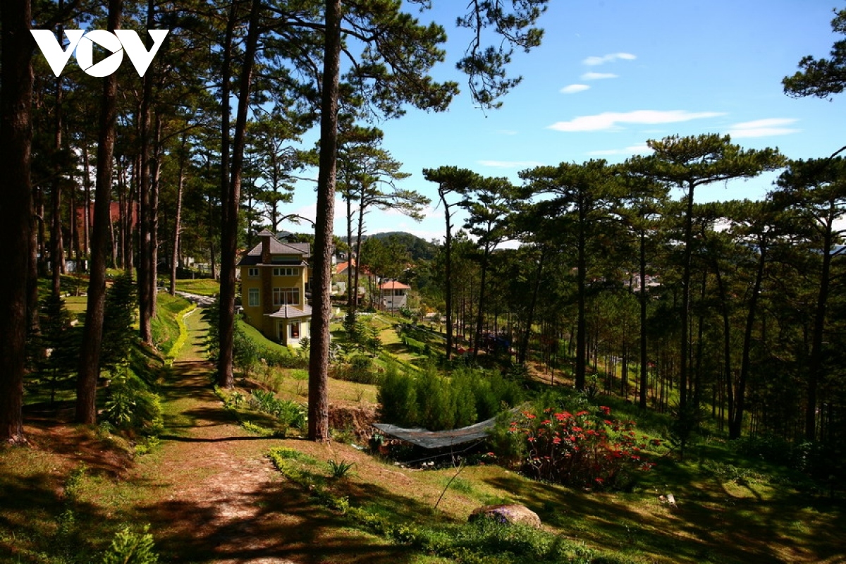 unmissable tourist attractions in da lat resort city picture 2
