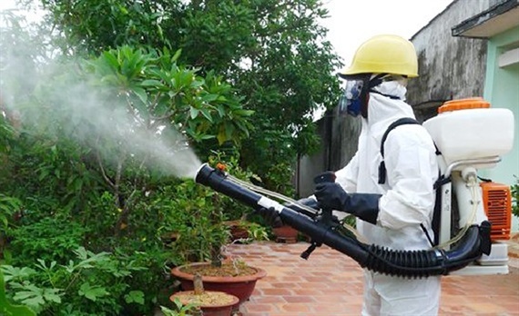 cases of dengue fever hit majority of districts in hanoi picture 1