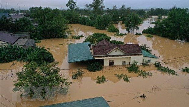 vietnamese in czech, poland raise fund to help flood victims picture 1