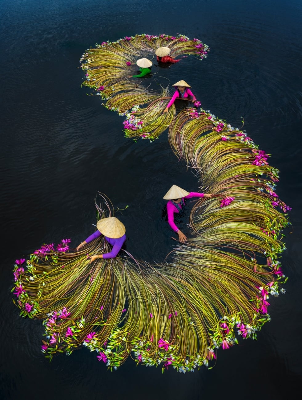 stunning images of vietnam from above make int l photo awards picture 1
