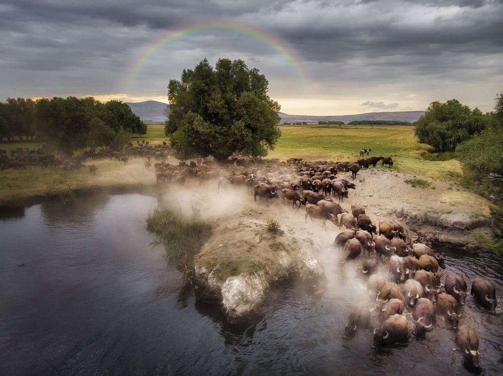 stunning images of vietnam from above make int l photo awards picture 7