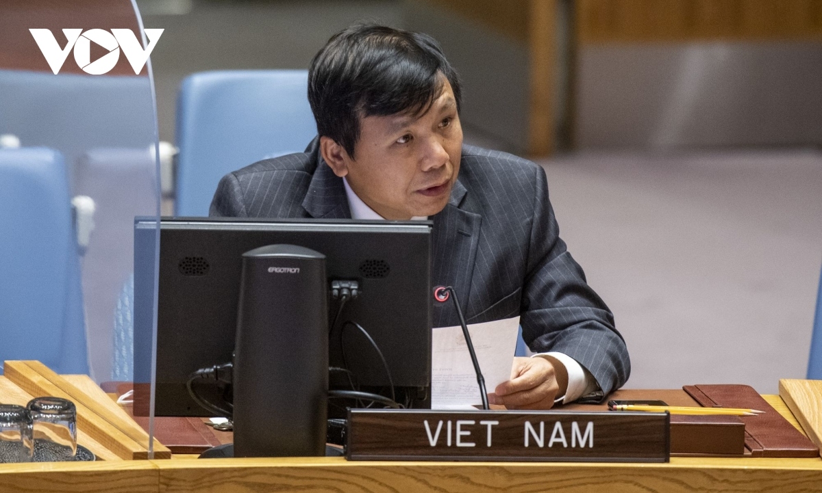 vietnam, indonesia voice support for sovereignty and territorial integrity of mali picture 1