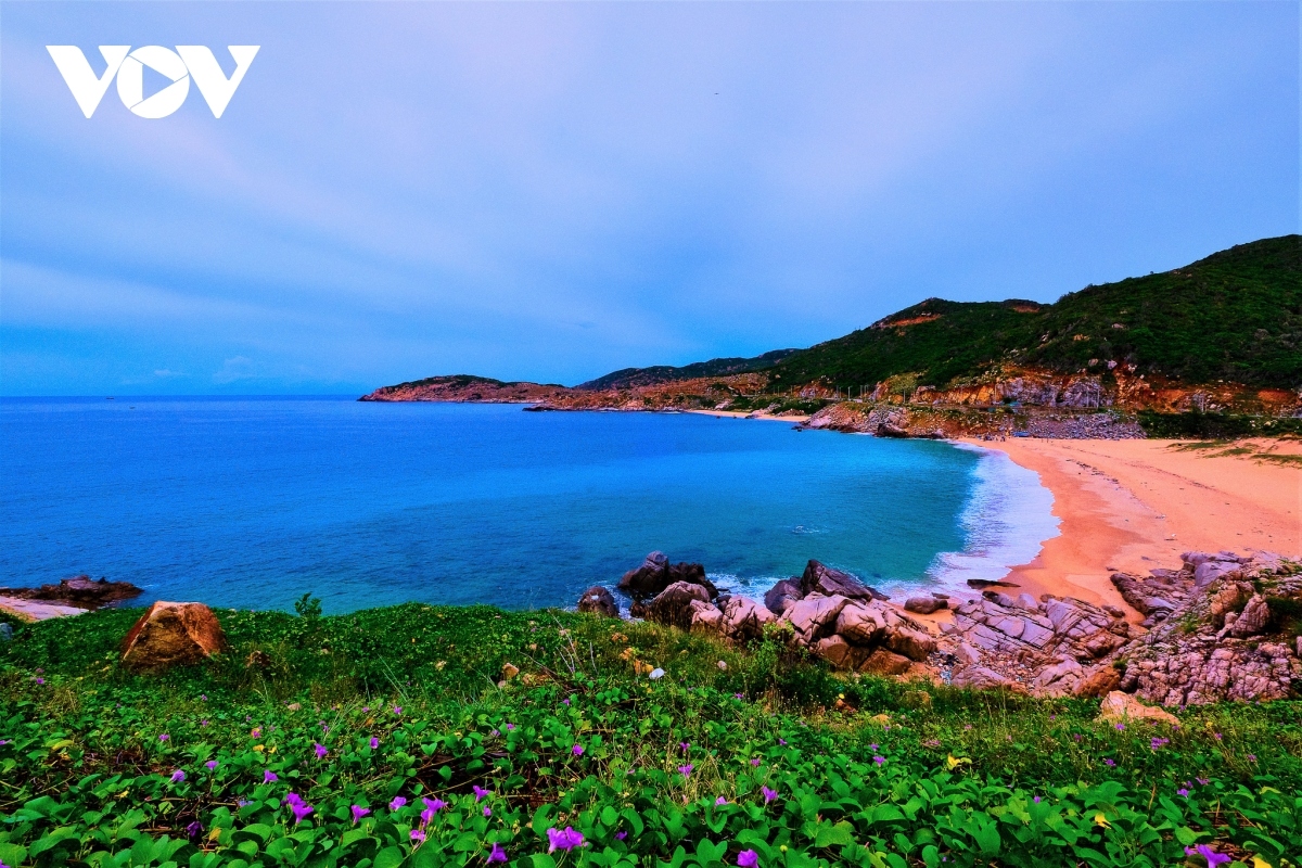 unmissable tourist attractions in phan rang city picture 1 unmissable tourist attractions in phan rang city picture 1
