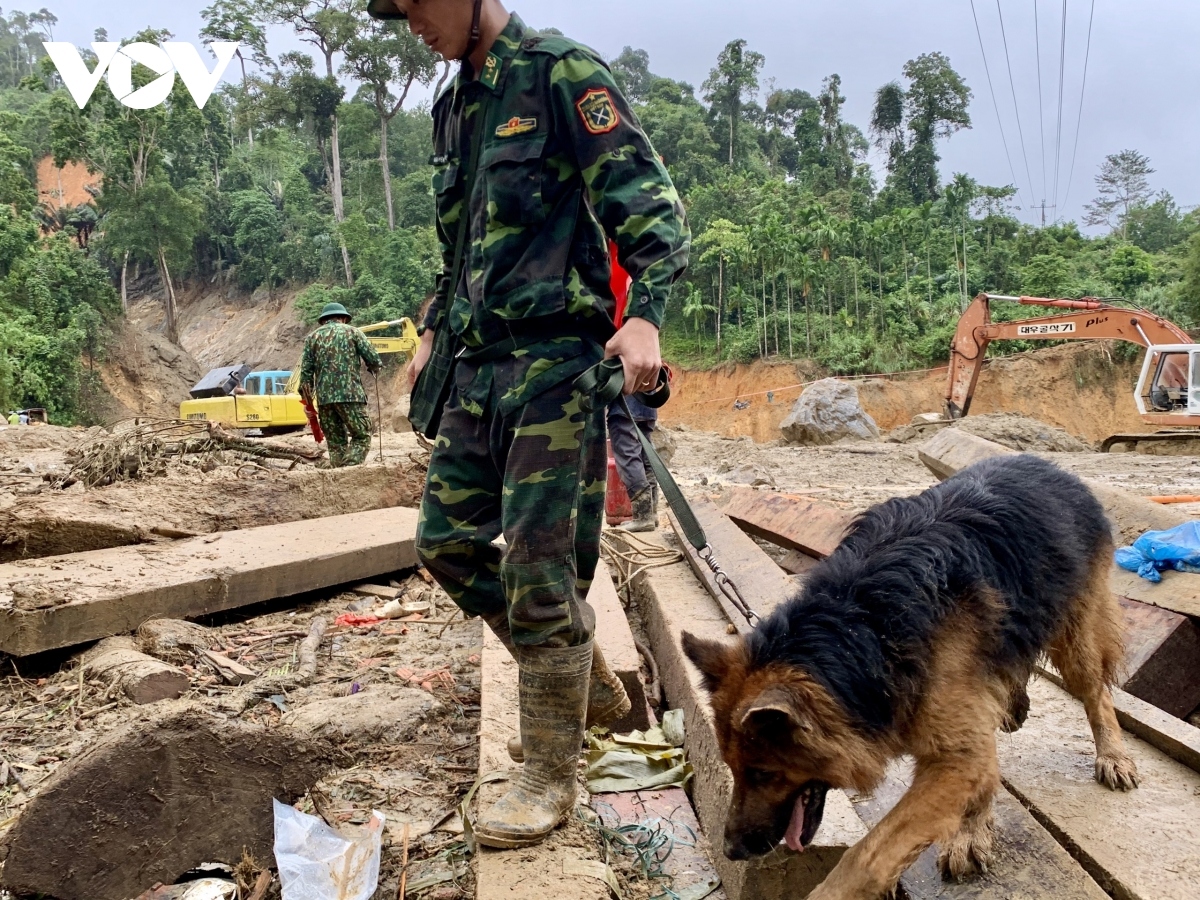 sniffer dogs join search operation at landslide site picture 10