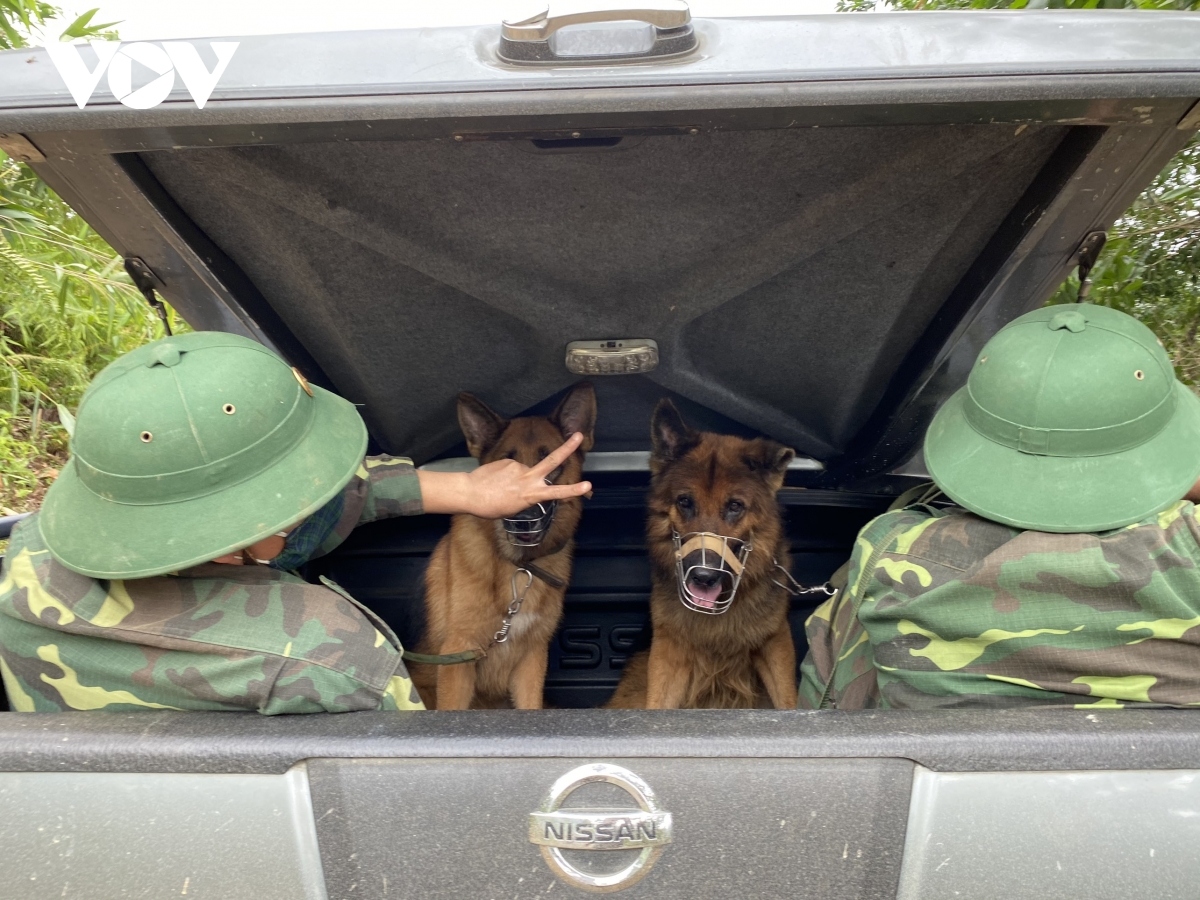 sniffer dogs join search operation at landslide site picture 3