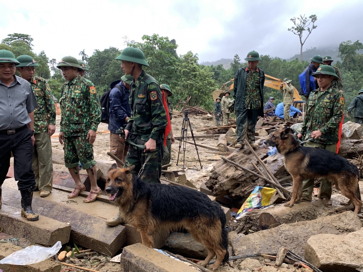 sniffer dogs join search operation at landslide site picture 5