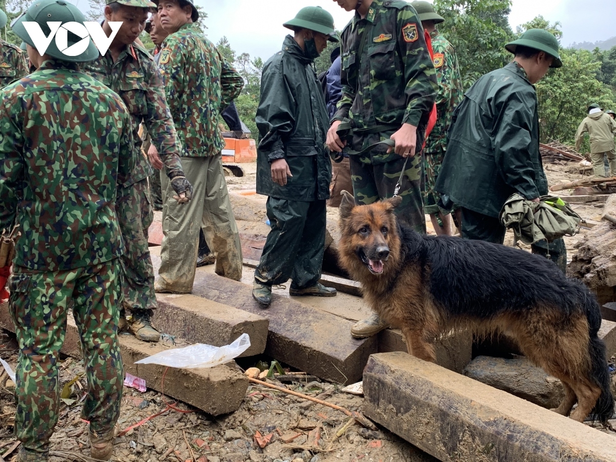 sniffer dogs join search operation at landslide site picture 6