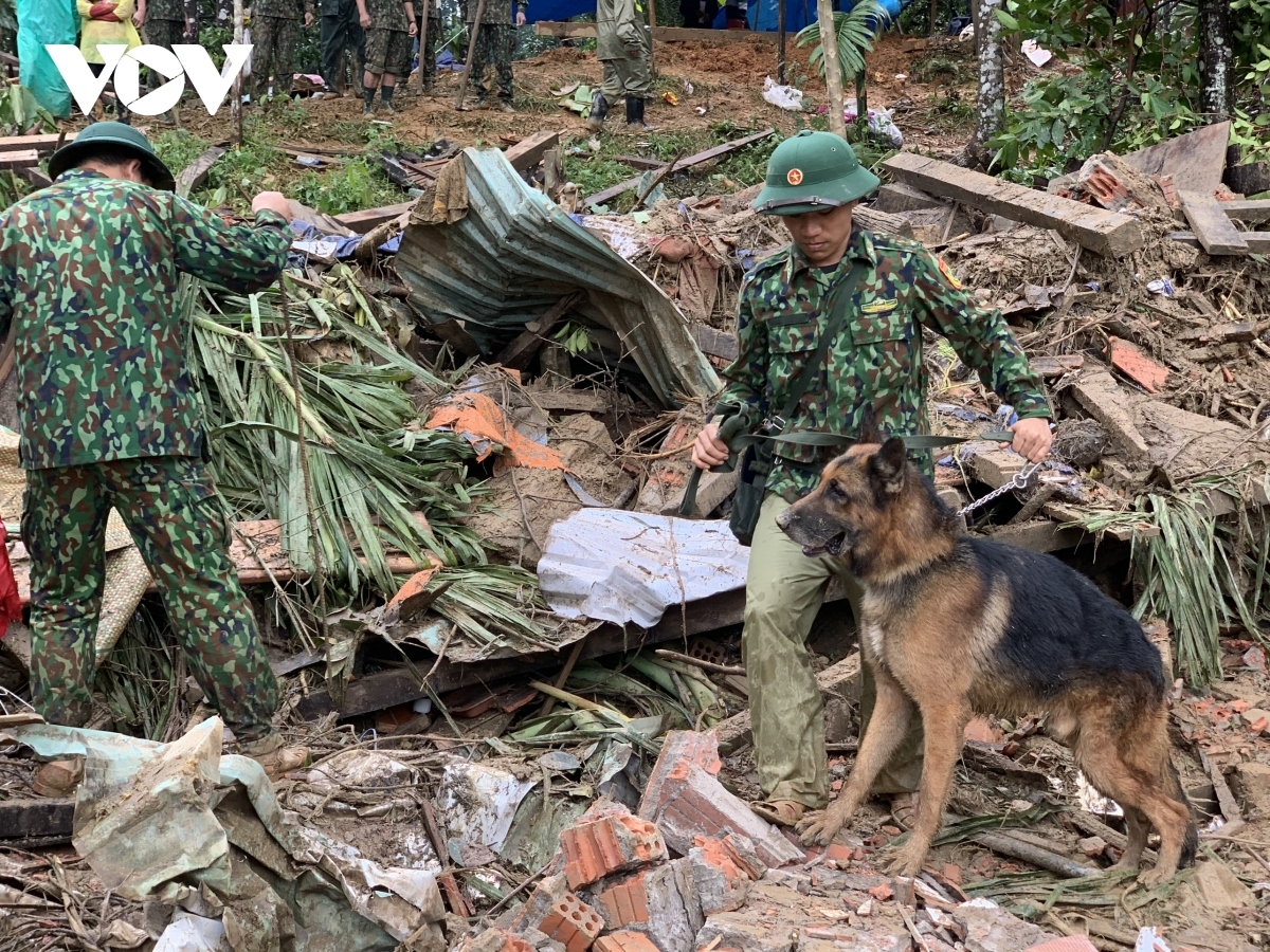 sniffer dogs join search operation at landslide site picture 7