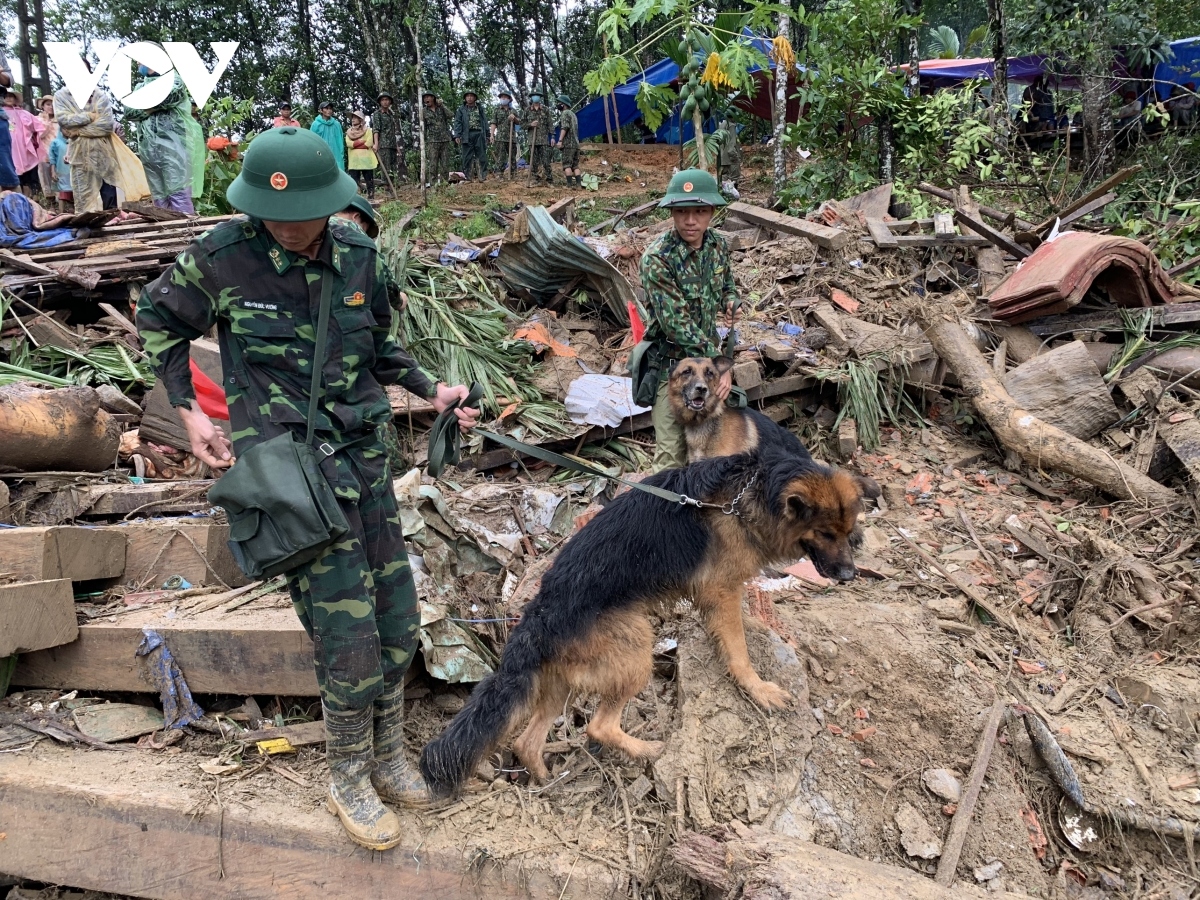 sniffer dogs join search operation at landslide site picture 8