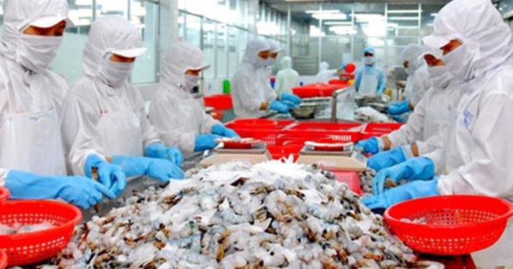 seafood exports anticipated to enjoy increase ahead in final quarter picture 1