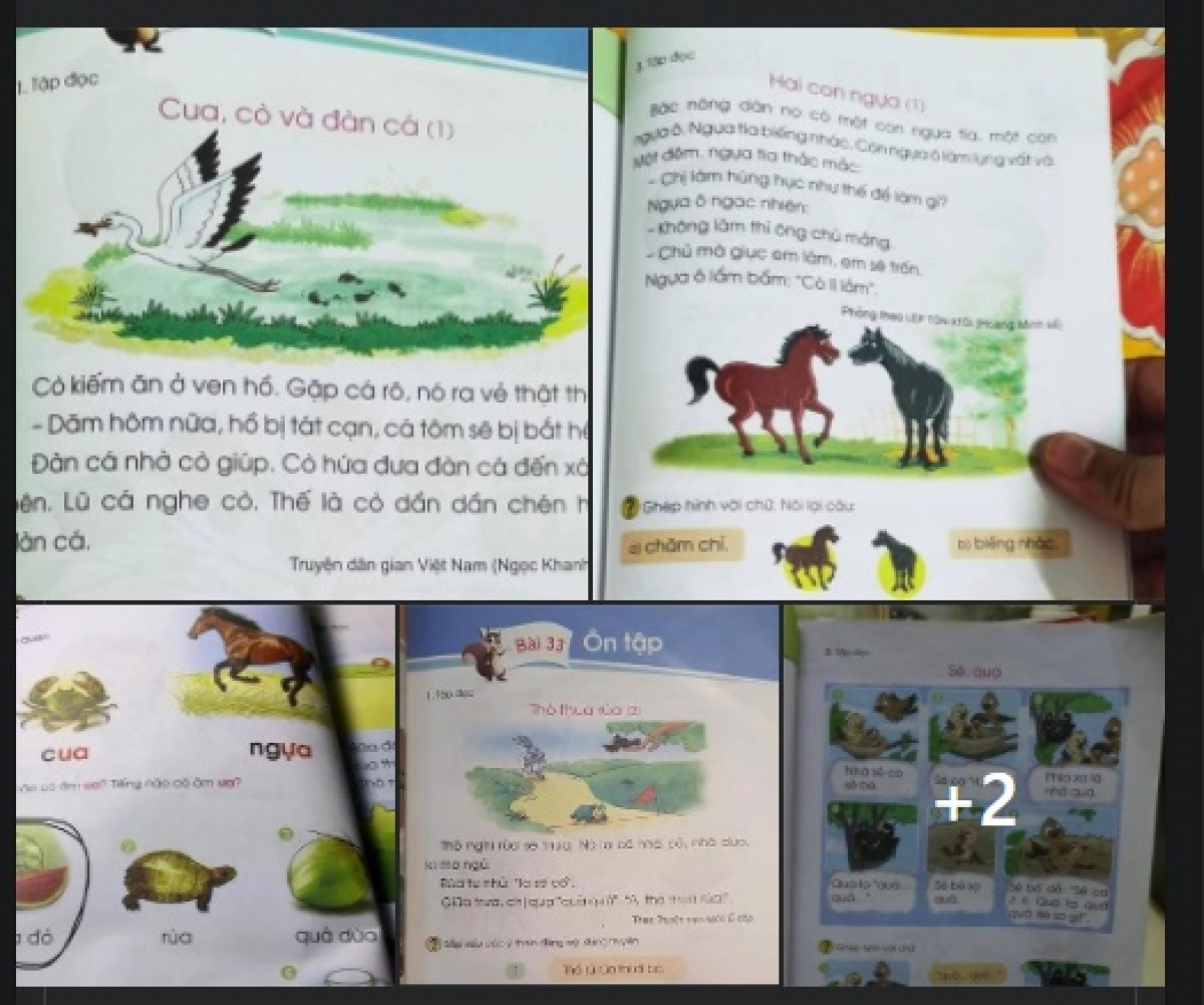 Nhiều chi tiết trong SGK Tiếng Việt lớp 1 thuộc bộ sách Cánh Diều được cho là không phù hợp với học sinh.