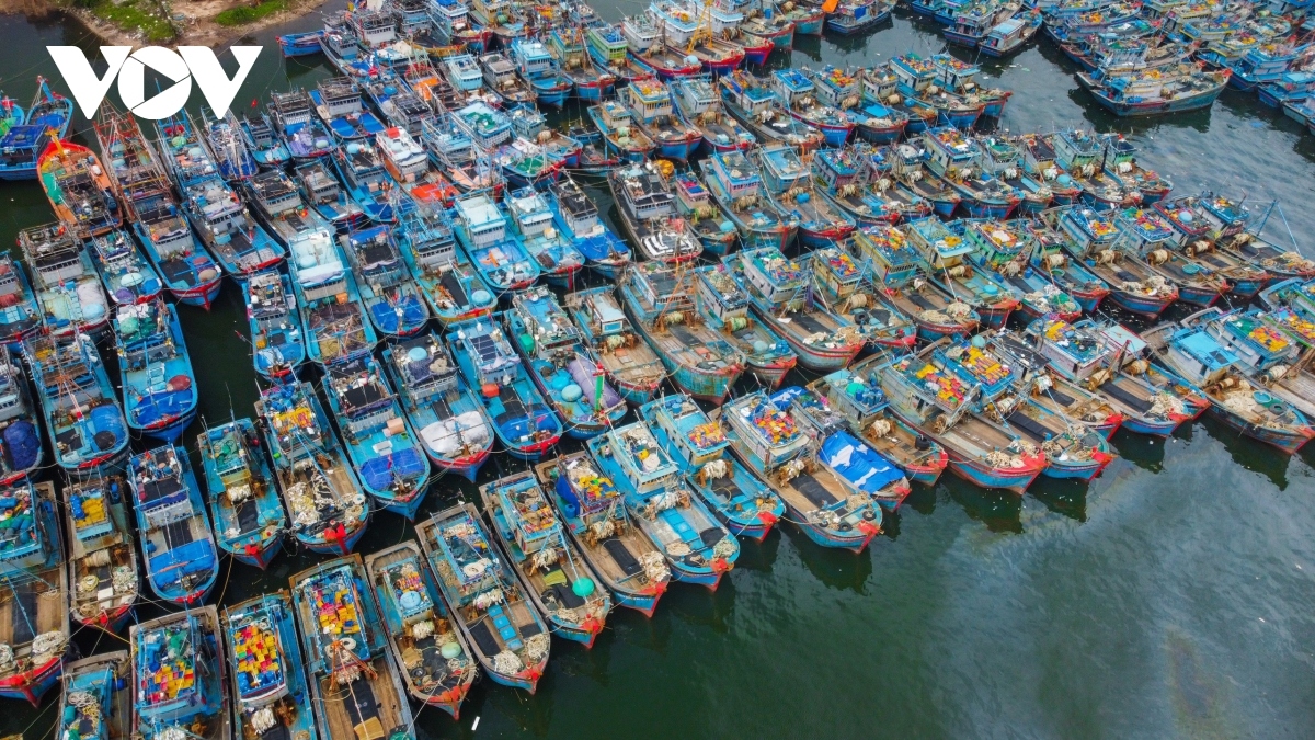 Vessels and boats take shelter to avoid Typhoon Molave