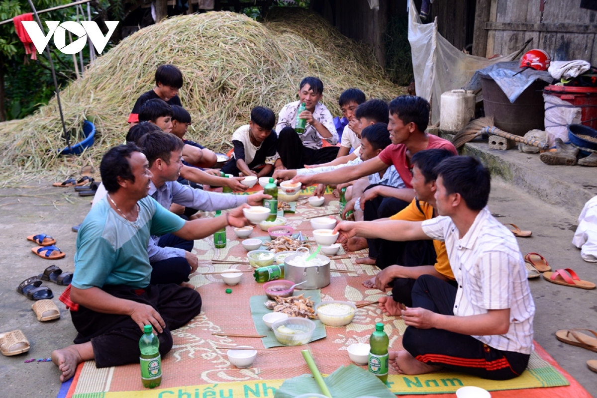 rice harvest season begins in ta leng town picture 11