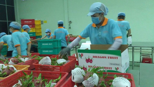 vietnam, india see huge export potential ahead for farm produce picture 1