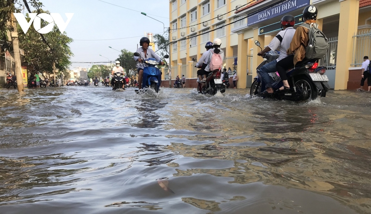 rising tides lead to flood warning level 3 being issued in mekong delta region picture 5