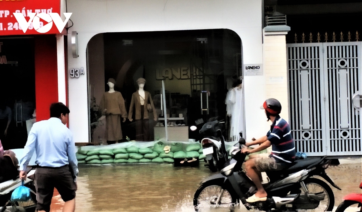 rising tides lead to flood warning level 3 being issued in mekong delta region picture 7
