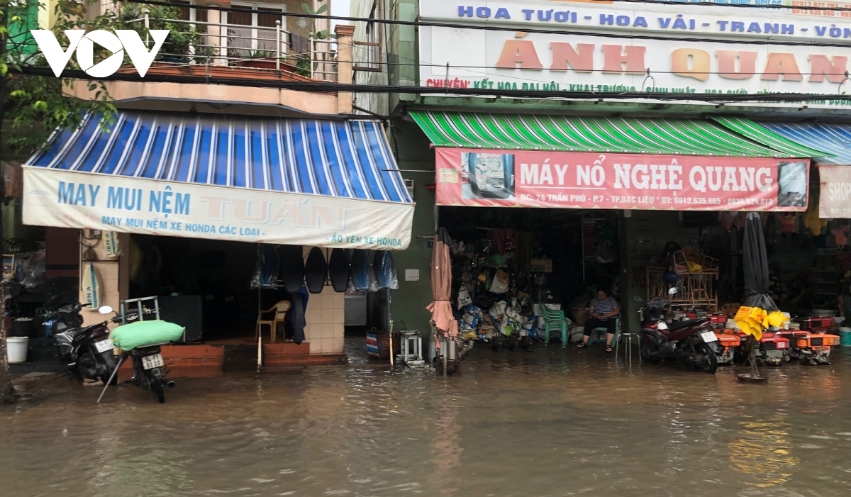 rising tides lead to flood warning level 3 being issued in mekong delta region picture 8