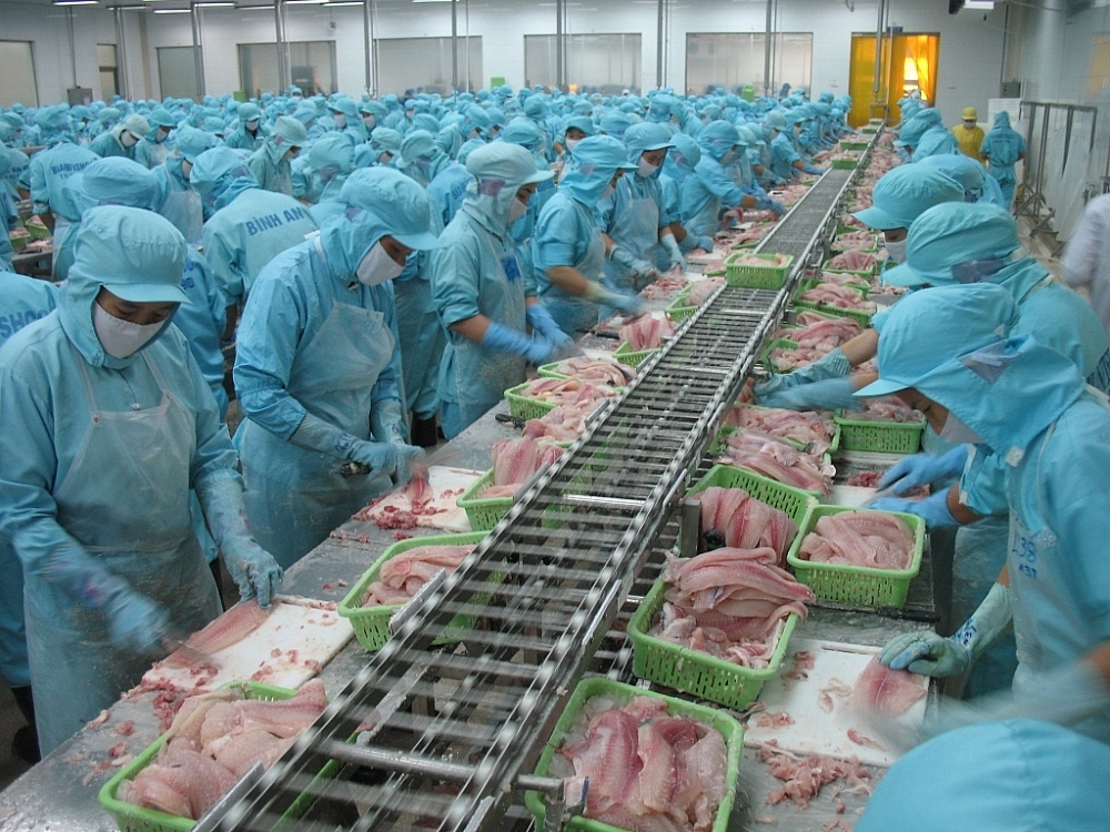 china, us make up more than 50 of export value for vietnamese tra fish picture 1