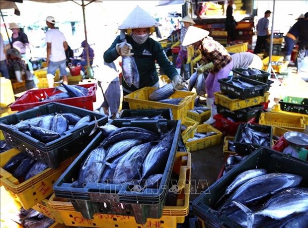workshop seeks ways to promote tuna exports to eu picture 1