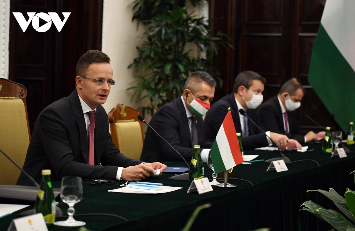 vietnam, hungary commit to fostering all-round co-operation picture 3