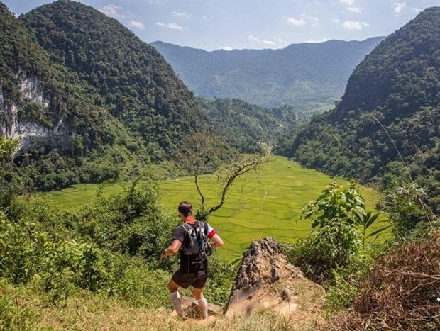 vietnam jungle marathon returns picture 1