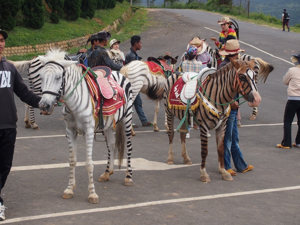 weirdest vietnamese places through the eyes of a foreigner picture 6