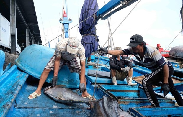 asean today vietnam lauded for efforts to combat illegal fishing picture 1