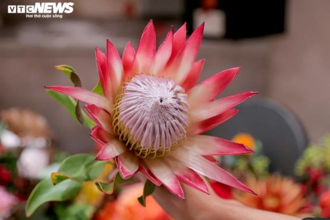 imported flower market busy on vietnamese women s day picture 5