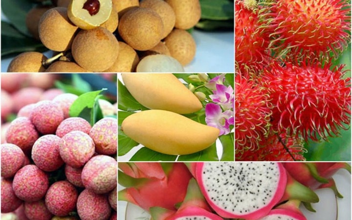 vietnamese fruit exports to us market expected to grow by year end picture 1