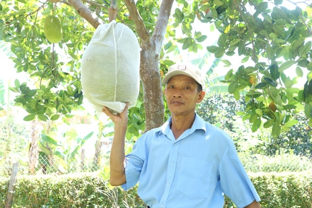 nong dan thoat ngheo nho vuon cay chuyen canh hinh anh 5