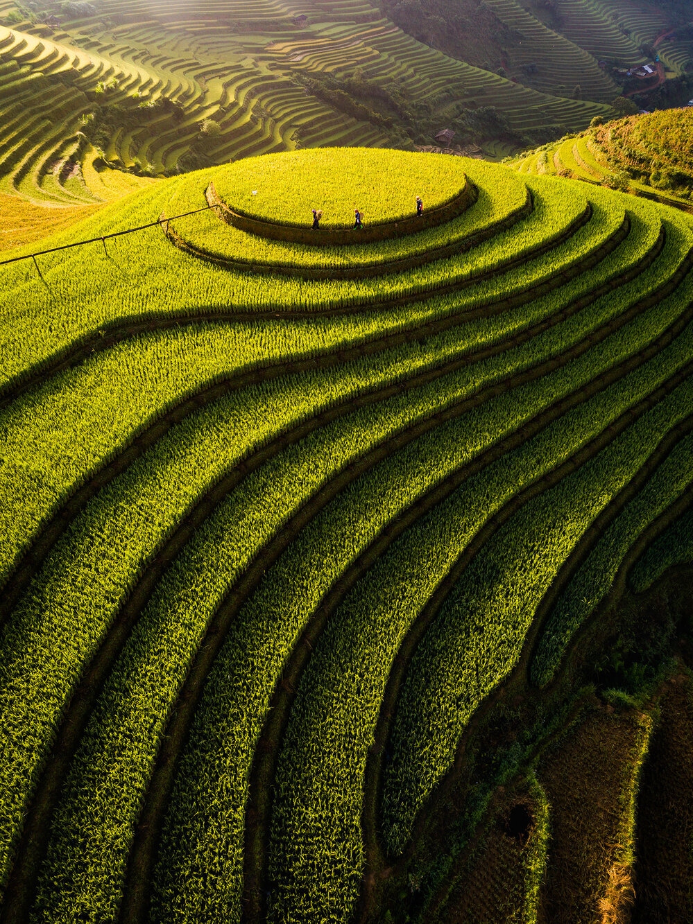 mu cang chai among top 50 beautiful destinations globally picture 1