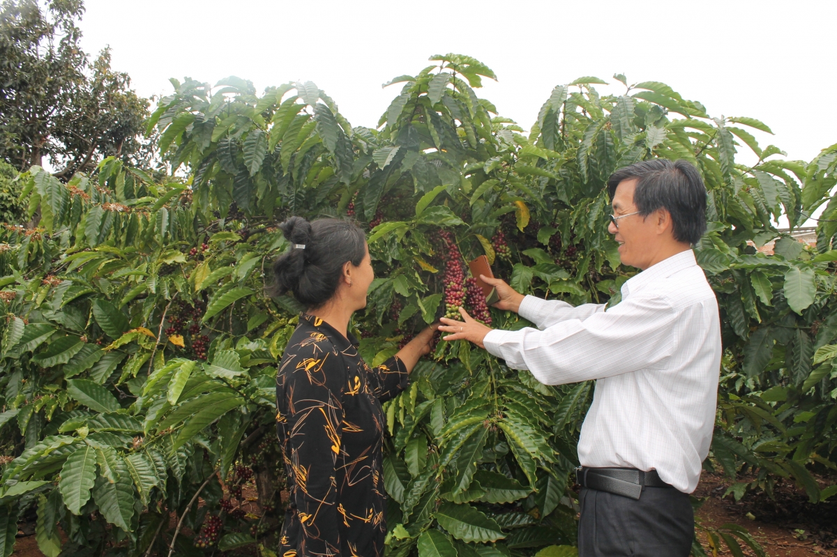 Ngành hàng cà phê muốn hội nhập thì cần phải đổi mới, sáng tạo