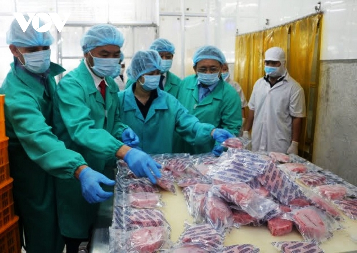 vietnamese tuna exports to eu record impressive growth picture 1