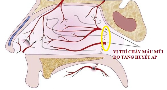  mua chay mau mui hinh anh 2