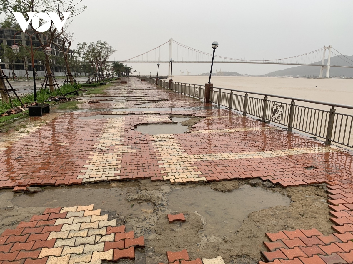 centrally-run da nang slightly damaged by storm vamco picture 3
