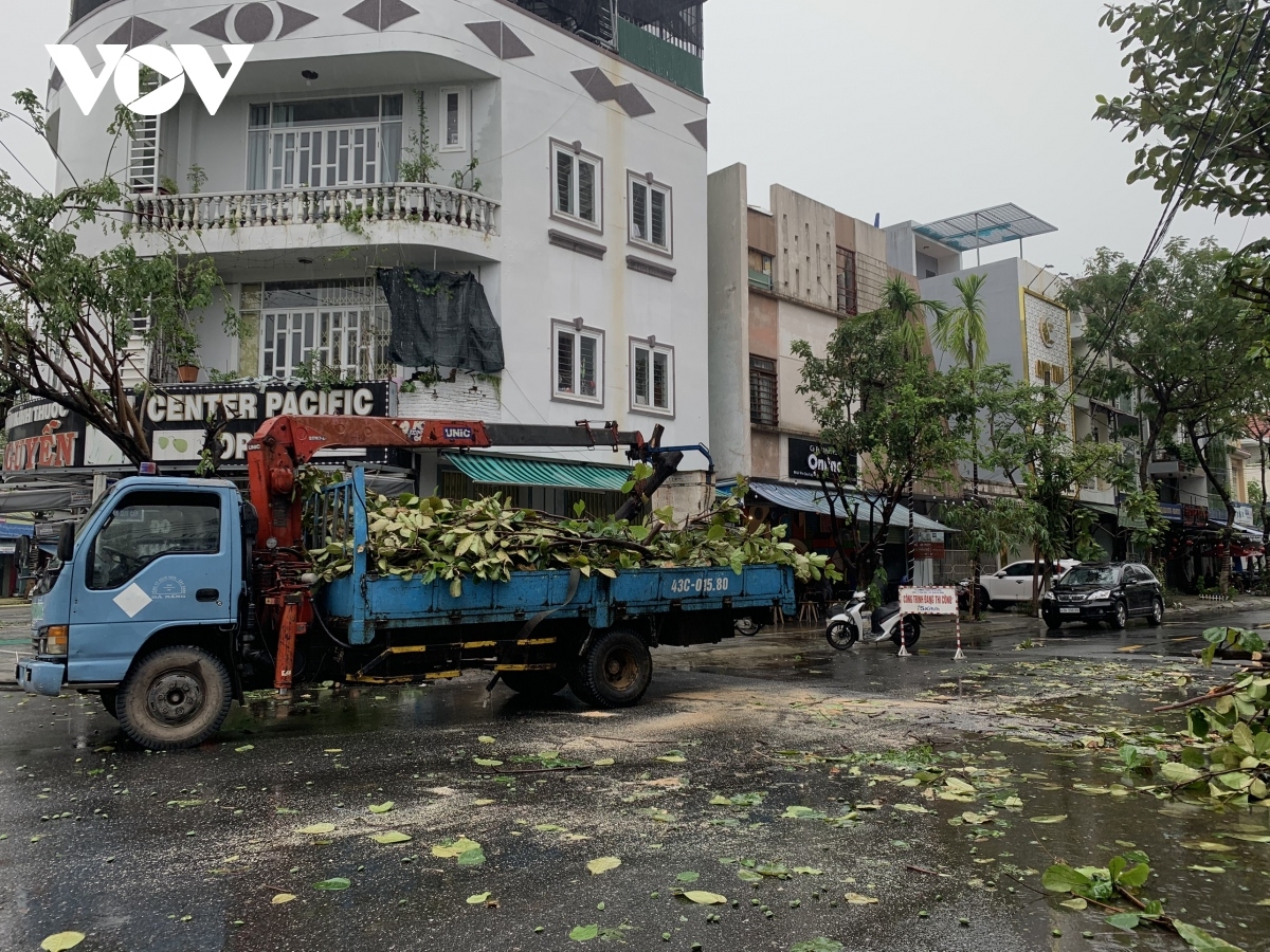 centrally-run da nang slightly damaged by storm vamco picture 8