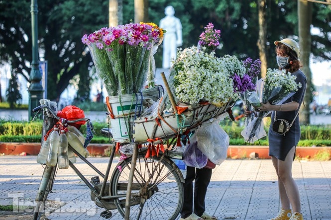 ox-eye daisies create marvelous scenery on hanoi streets picture 5