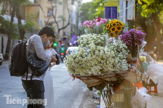 ox-eye daisies create marvelous scenery on hanoi streets picture 6