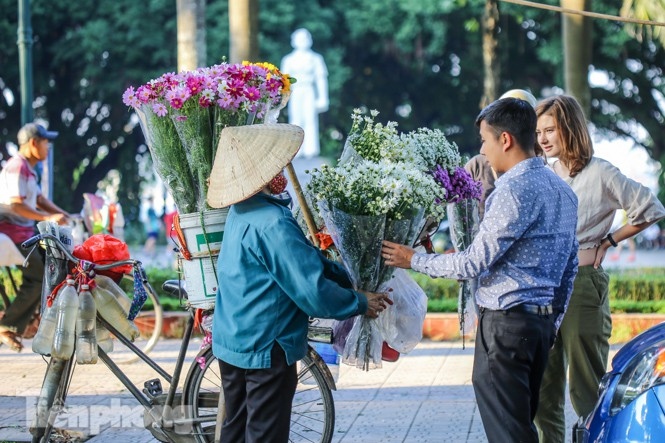 ox-eye daisies create marvelous scenery on hanoi streets picture 7