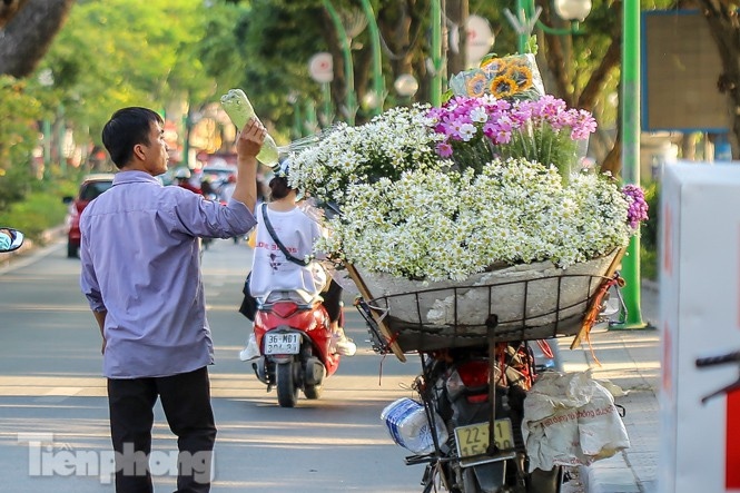 ox-eye daisies create marvelous scenery on hanoi streets picture 8