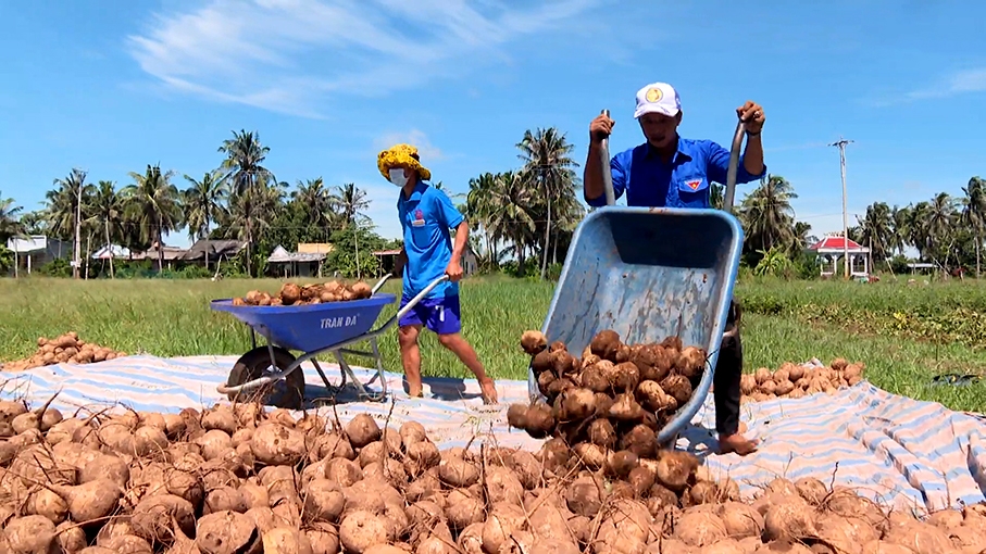 Mượn đất lập nghiệp giúp thanh niên Trà Vinh thoát nghèo
