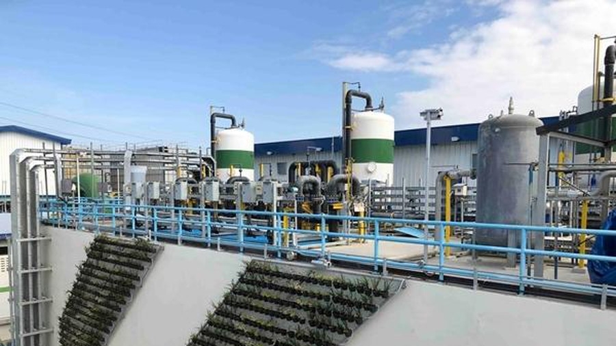 EVFTA draws increasing number of Spanish investors to Vietnam