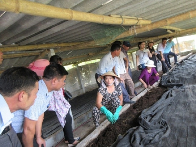 nuoi nhung con nghe da ghe mang lai nguon thu khung cho nong dan hinh anh 4