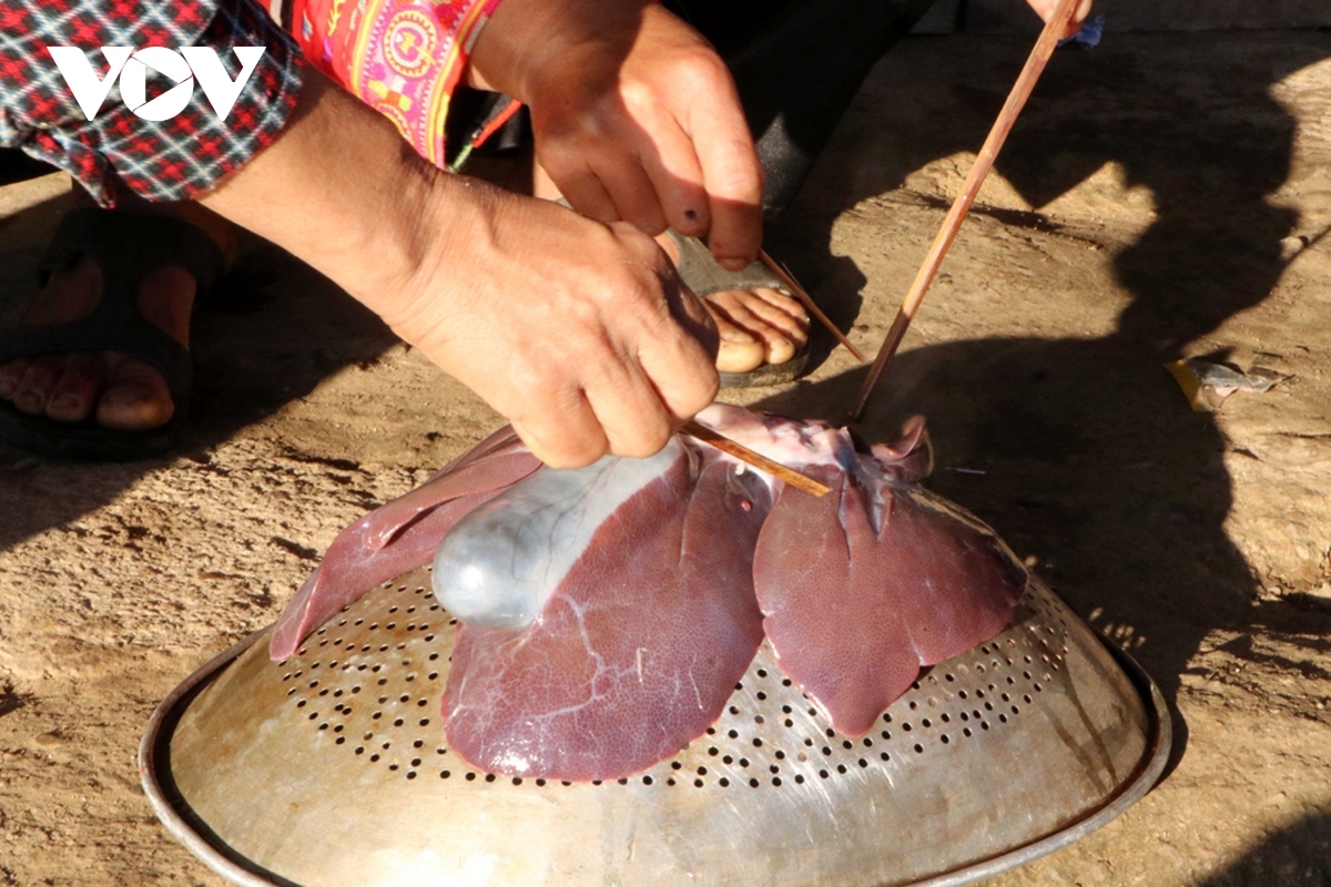 early new year celebrations of ha nhi ethnic people in northern vietnam picture 9